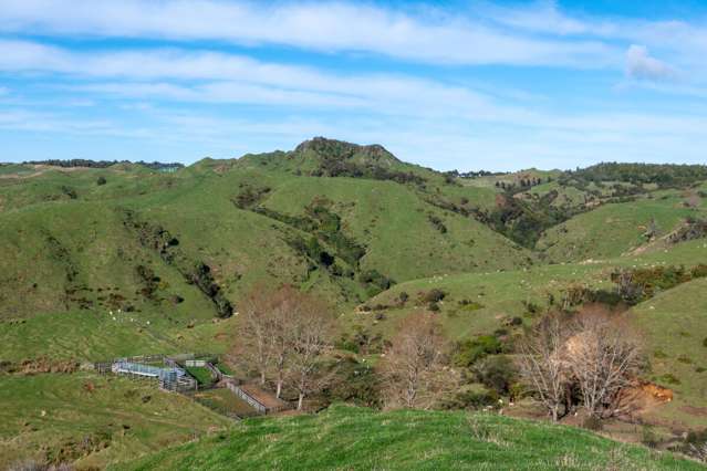 23 Mahoe Road Waitomo_1