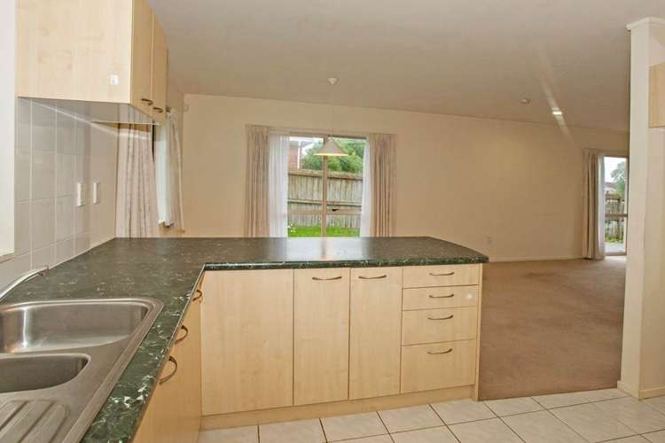 17e Cradock Street Avondale_3