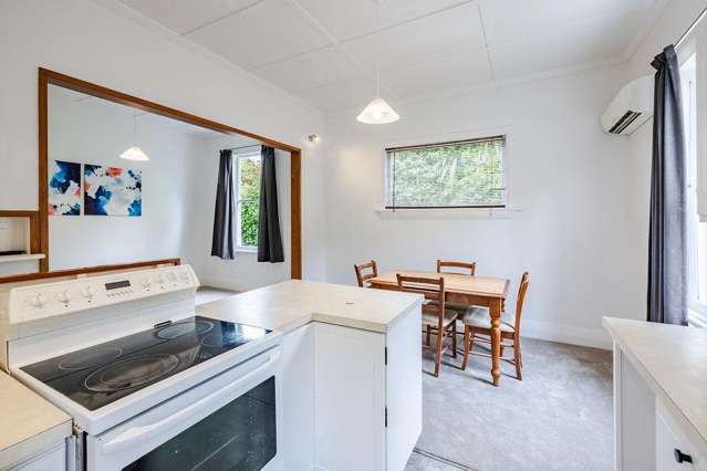 78 Buccleugh Street North East Valley_1