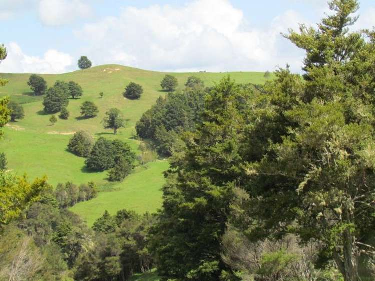 1871 State Highway 14 Mangapai and Surrounds_28