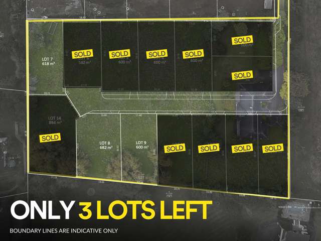 11 SOLD! Final 3 Now Available