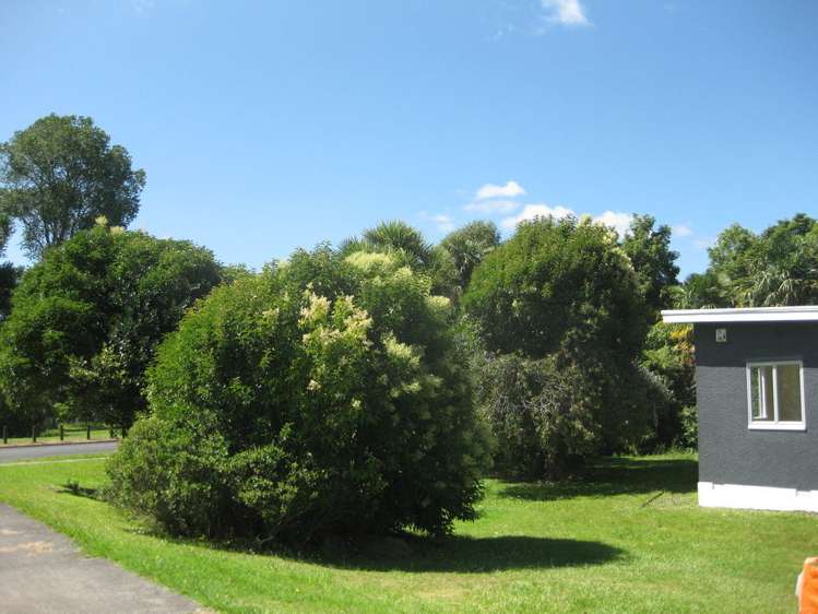 35 Waipa Esplanade Ngaruawahia_16
