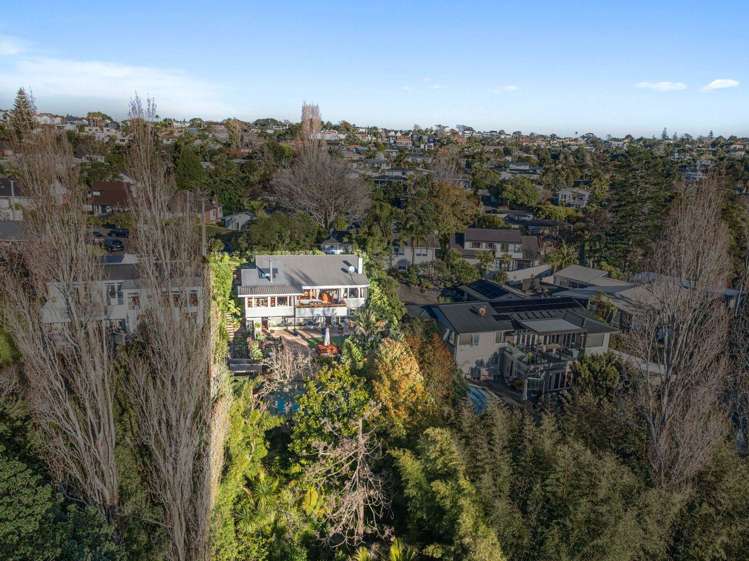 45 Sayegh Street St Heliers_38