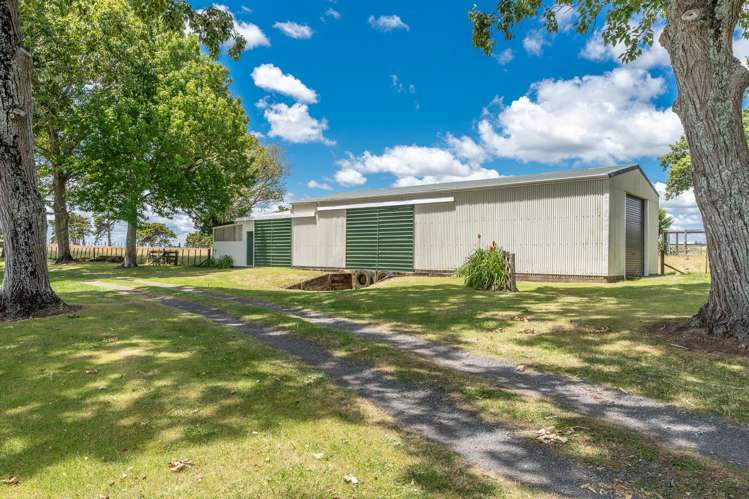 43 Bowman Road Whatawhata_27