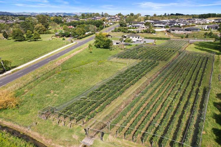 126 Travers Road Te Kauwhata_28