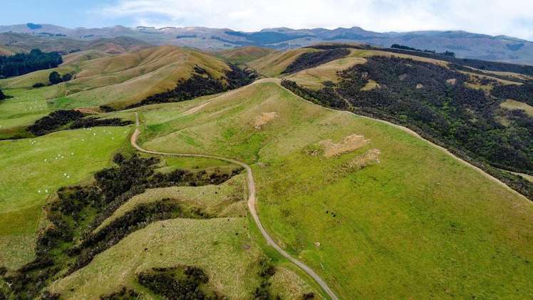 25 Mangamaire Road Dannevirke_21