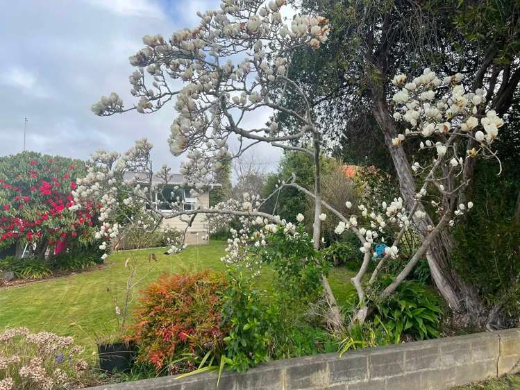 23 Mill Street_1