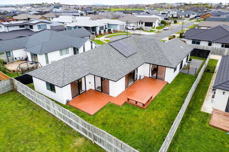 23 Sydney Place Flagstaff_36