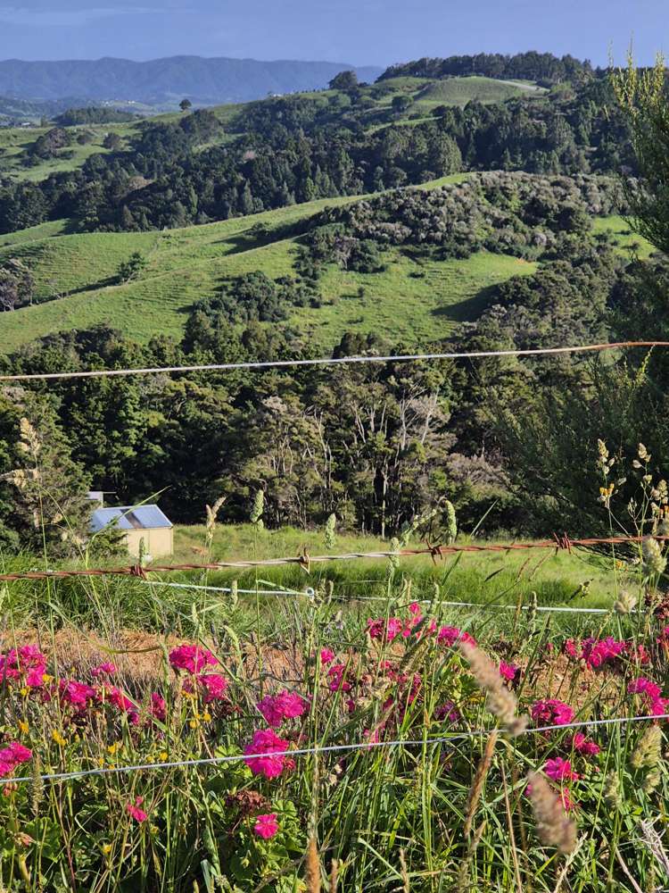 158 Kereru Lane Kaiwaka_28