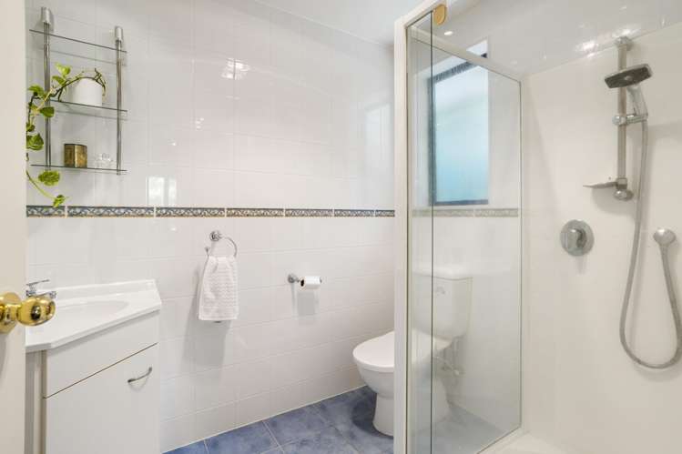 10b Cradock Street Avondale_21