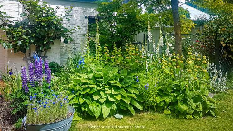 21b Nairn Street Arrowtown_35