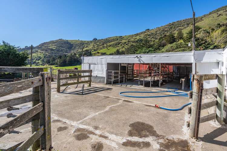 1234 Okains Bay Road Okains Bay_32