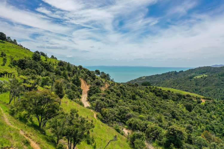 60 Waiomu Valley Road Waiomu_7