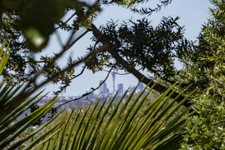 58 Park Road Titirangi_19