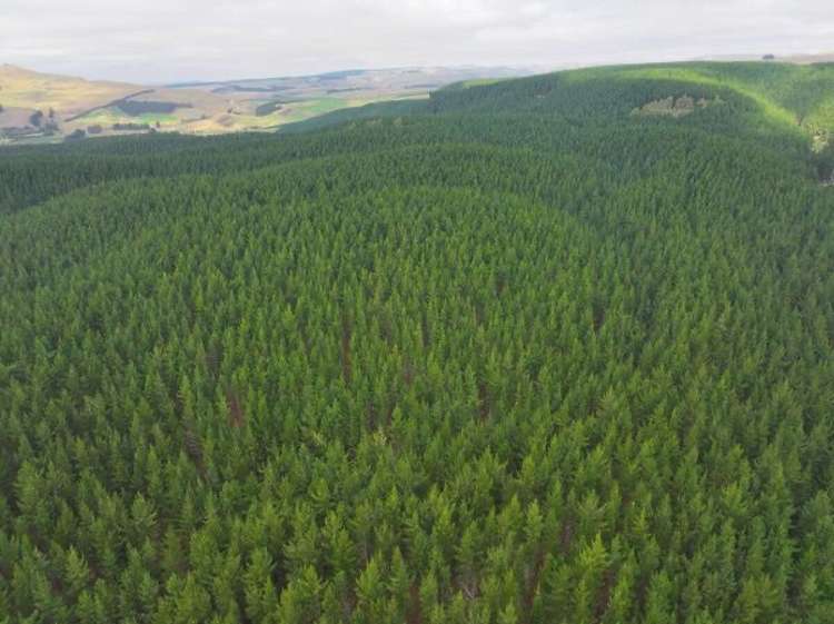 Address withheld Windsor - Waitaki District_2