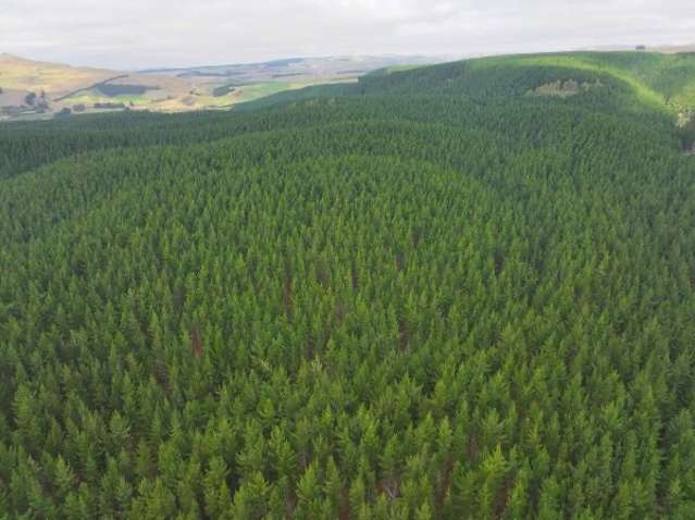 Address withheld Windsor - Waitaki District_2