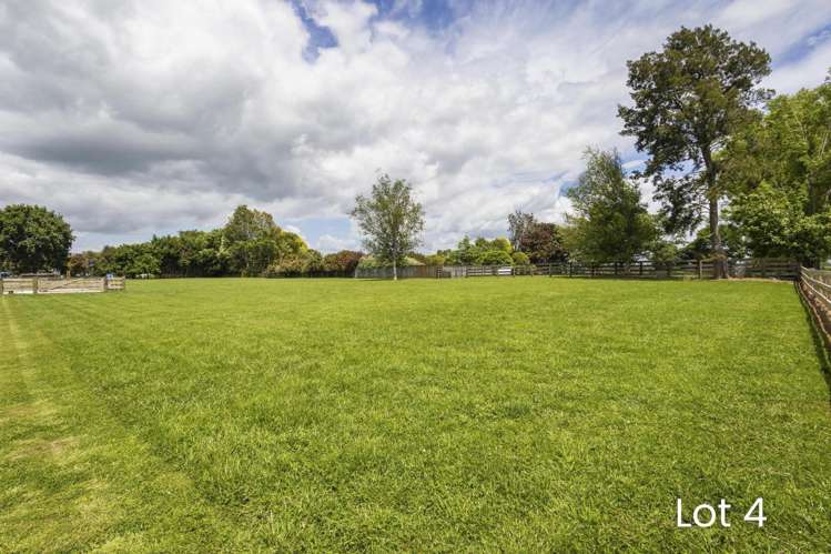 4 x Lots, Coates Lane Te Poi_7