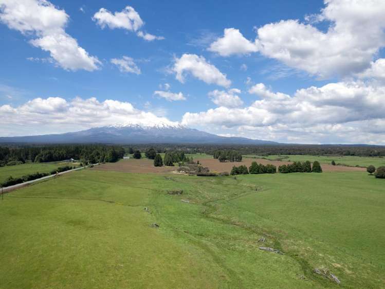 205 Mangaturuturu East Road National Park_18