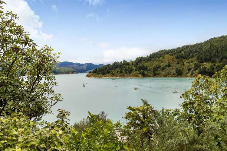 1466 Port Underwood Road Port Underwood_50