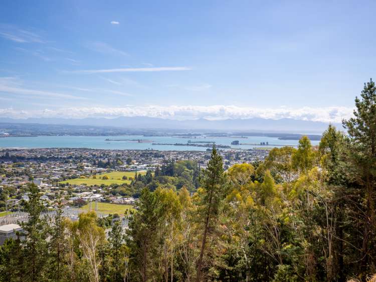 184 Panorama Drive Enner Glynn_11