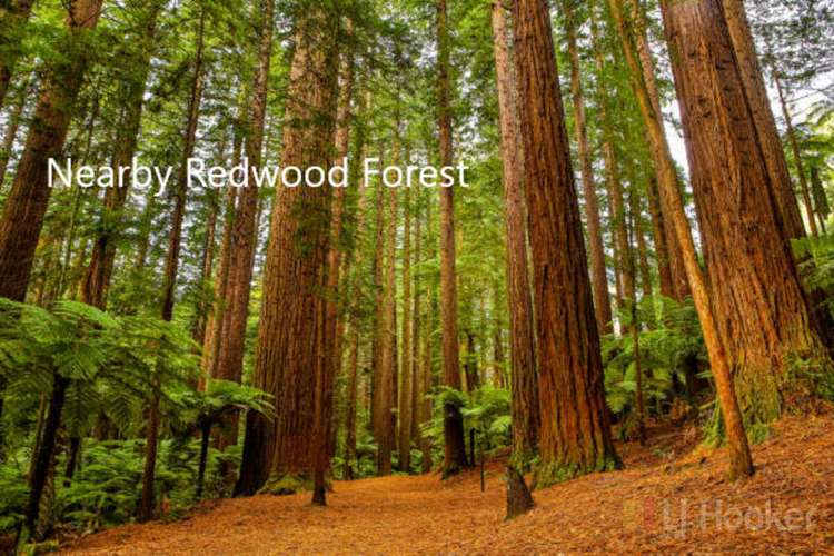 58a Lynmore Avenue Lynmore_16