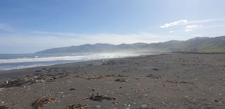 535 Craigie Lea Road Te Wharau_6