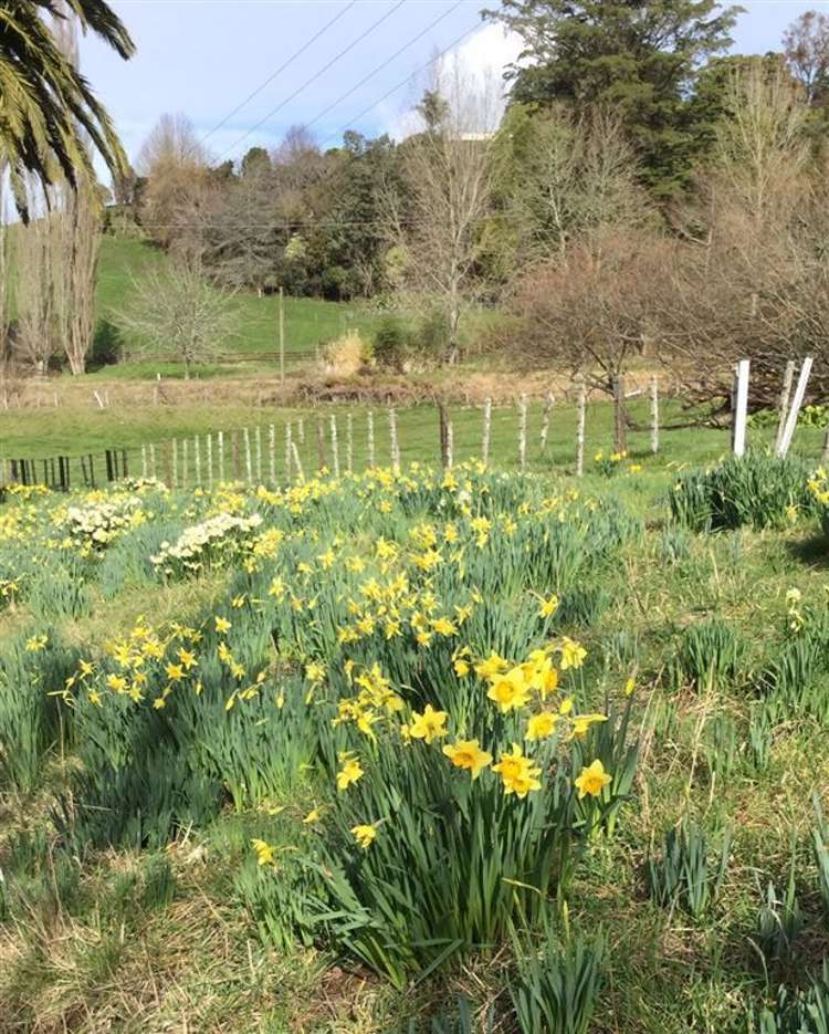 62 Oparure Road Te Kuiti_33