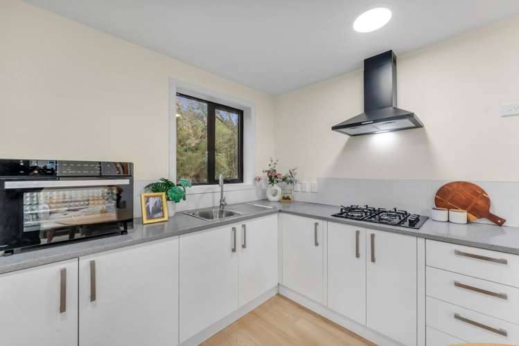 56 Palomino Drive Henderson_29