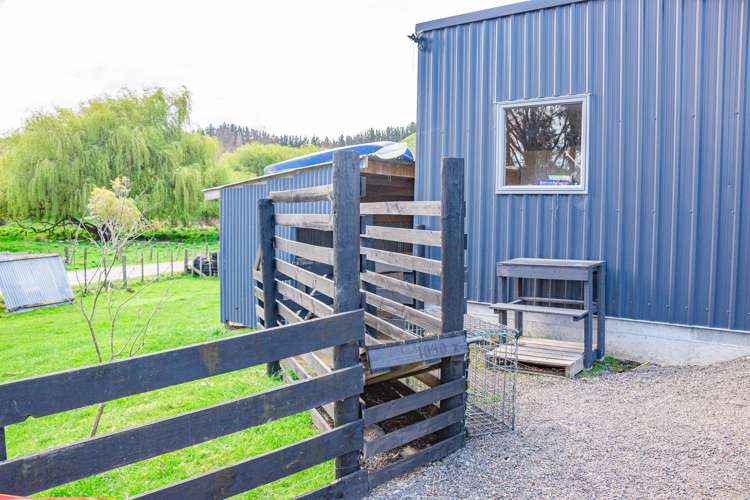 653 No 3 Line Okoia_19