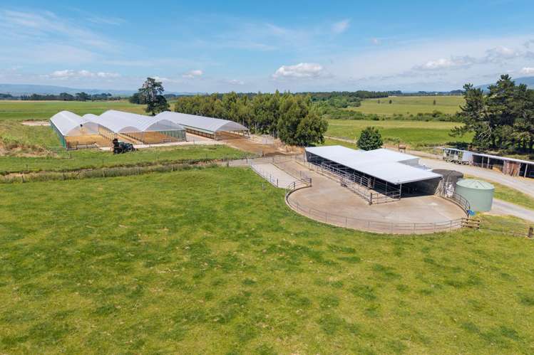493 Smith Road Dannevirke_1