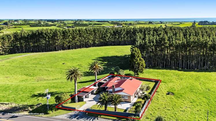 1606 South Road Oakura_33