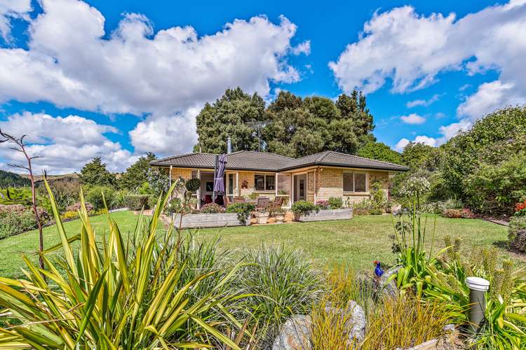 85 Guy Road Kaipara Flats_11