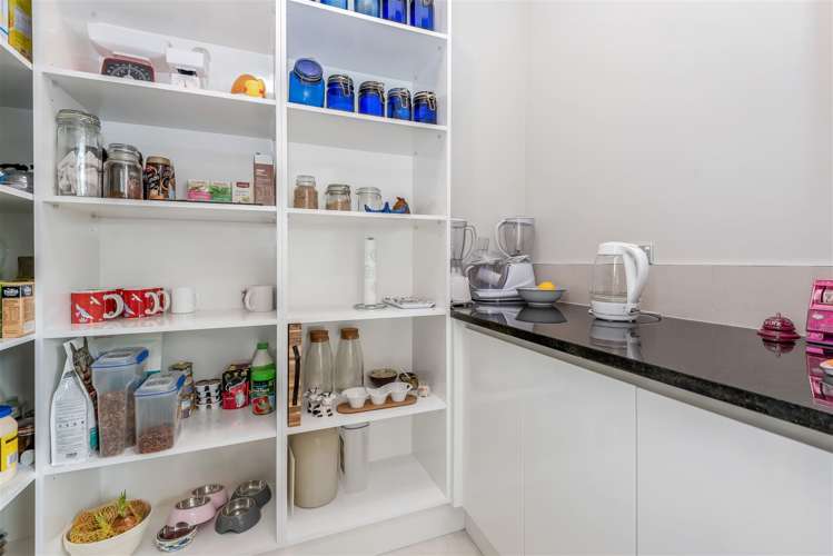 4 Kildare Road Flat Bush_25