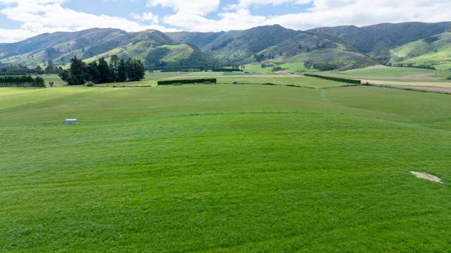 Lot 2, 3 & 4 Dalvey Road Tapanui_2