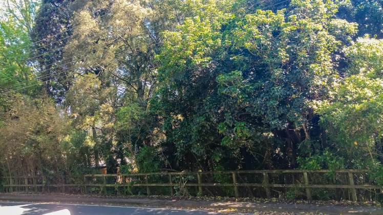 126 Victory Road Laingholm_4