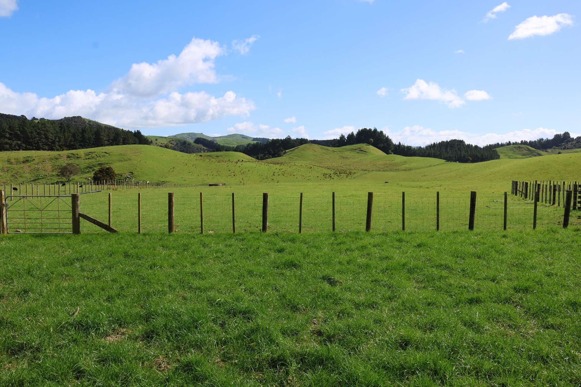 98 Millstream Road Dannevirke_0