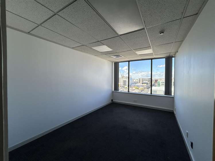 391-393 Khyber Pass Road Newmarket_6