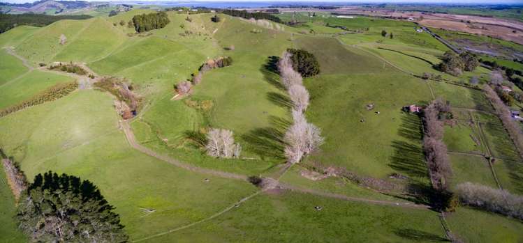 796 Waerenga Road Waerenga_17