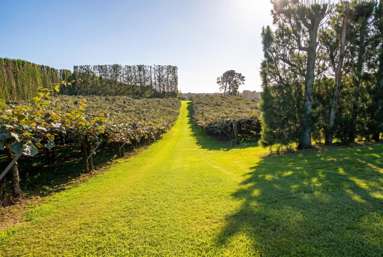 195A Tuapiro Road_3