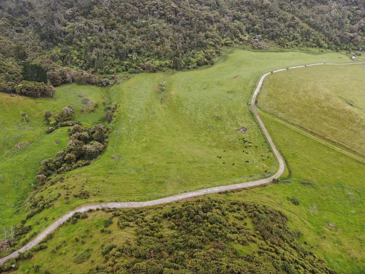 Lot 7/3327 State Highway 25, Tairua Road_5