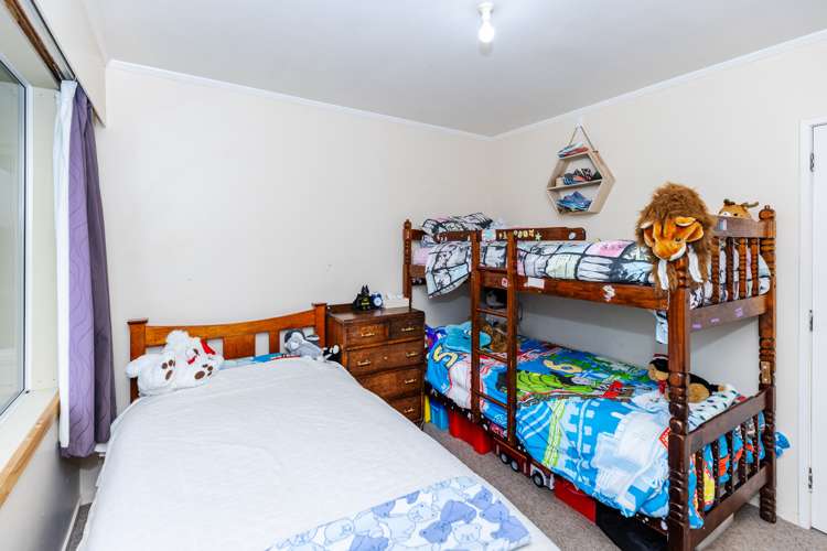 437 Mcclure Street Pirongia_12