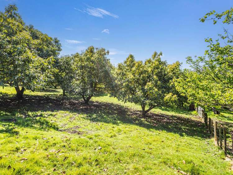 70 Nilgiri Road Poraiti_31