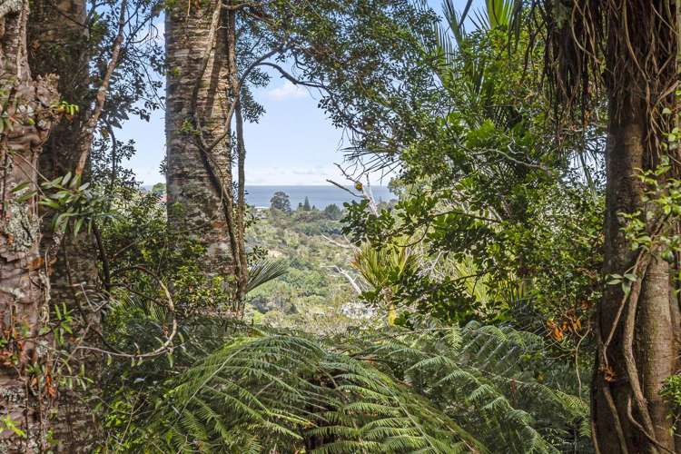 30 Tainui Road Titirangi_5