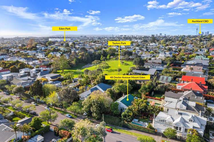 48 Dexter Avenue Mount Eden_11