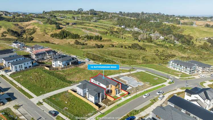 12 Rathfarnham Road Flat Bush_24