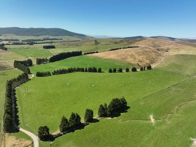 Well Developed Farming Operation with Scale