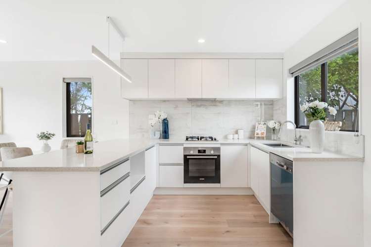 259B Mount Smart Road Onehunga_14