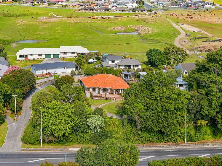 7 Jellicoe Street_4