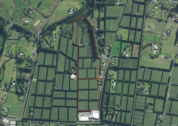 27 Orangewood Road Kerikeri_9