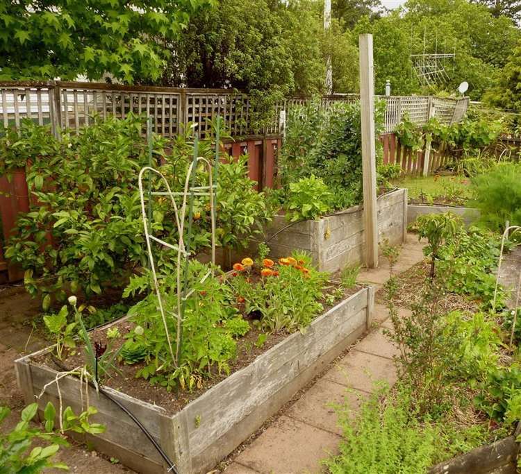 146 Brunton Crescent Thames_19